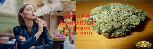 сатива Балахна