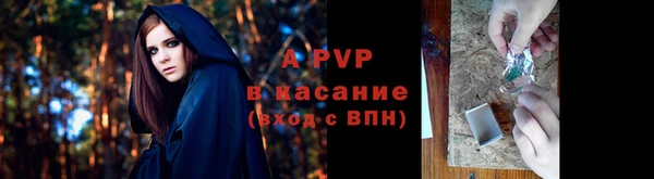 сатива Балахна